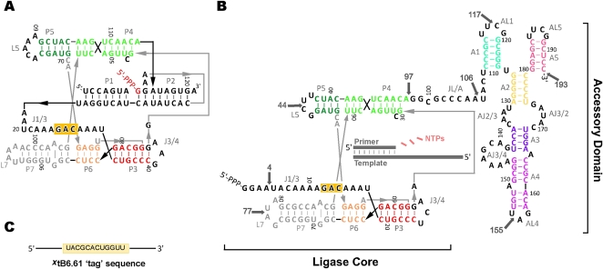 FIGURE 1.