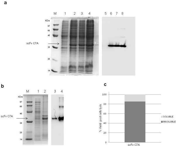 Fig.1