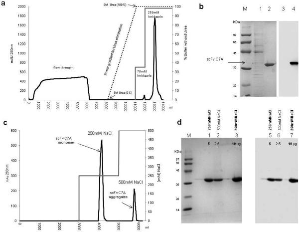 Fig.2