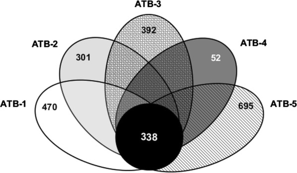 Fig. 5