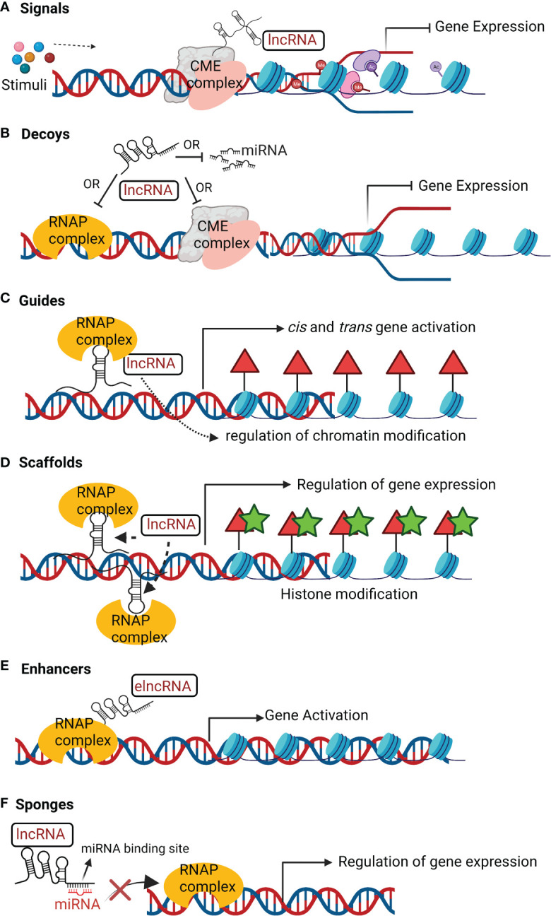 Figure 2