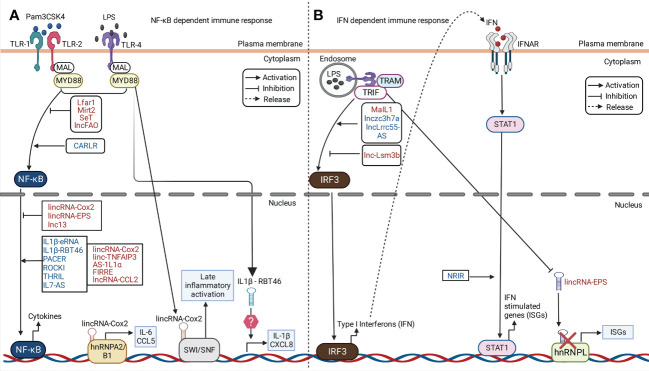 Figure 3