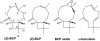 Fig. 1.