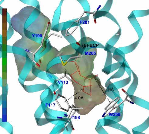 Fig. 3.