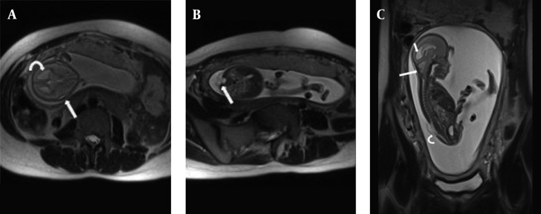 Figure 5.