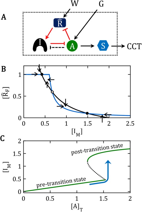 FIGURE 1: