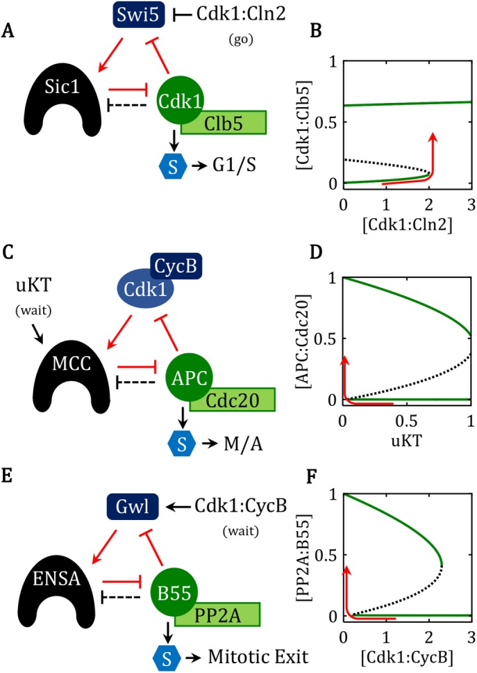 FIGURE 4: