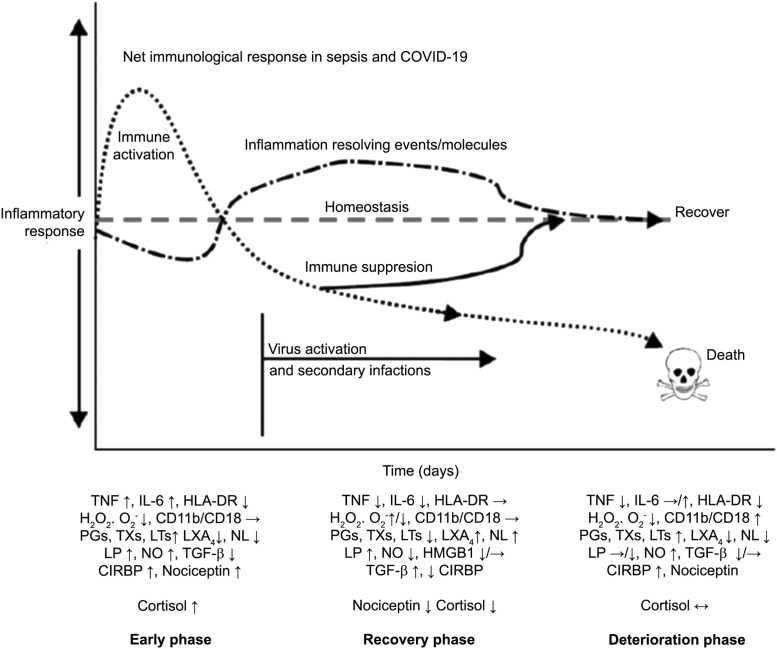 Figure 5