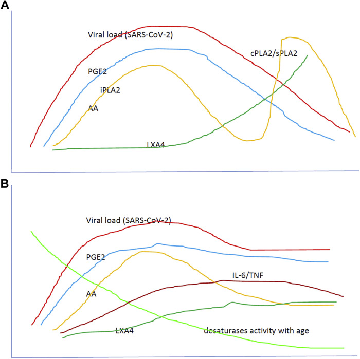 Figure 6