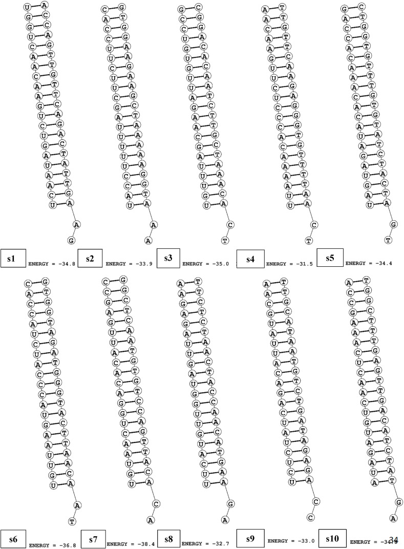 Fig. 5