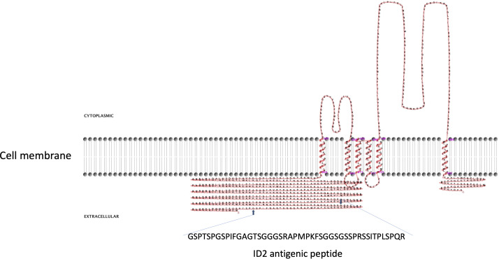 Figure 2