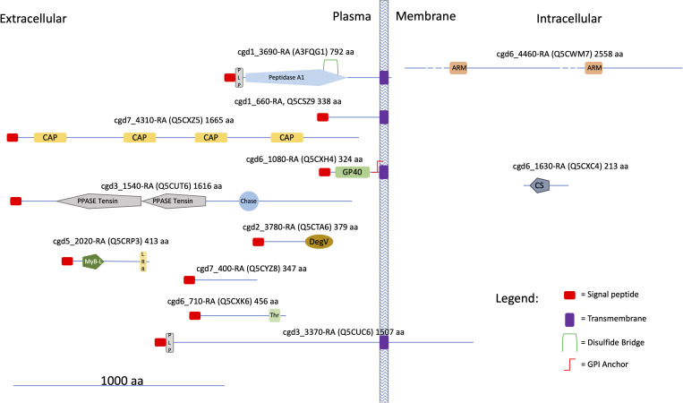 Figure 12