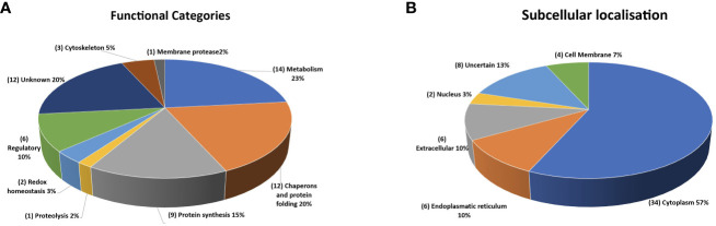 Figure 11