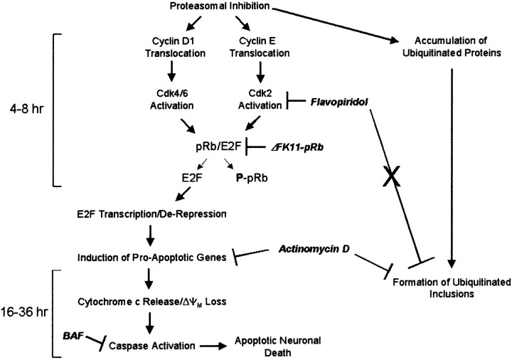 Fig. 9.