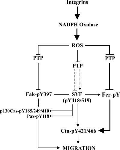 FIG. 10.