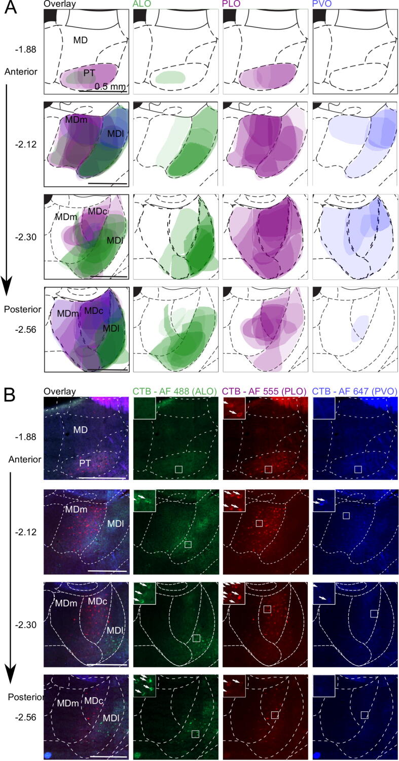 Fig. 4