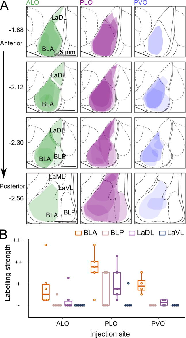 Fig. 7