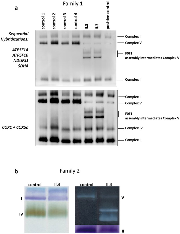 Figure 3: