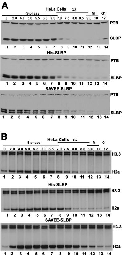 FIG. 5.