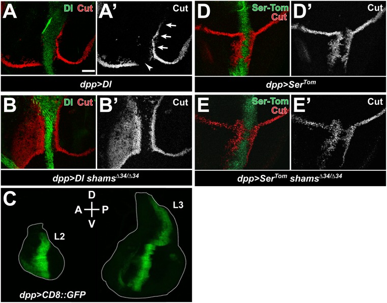 Fig 4