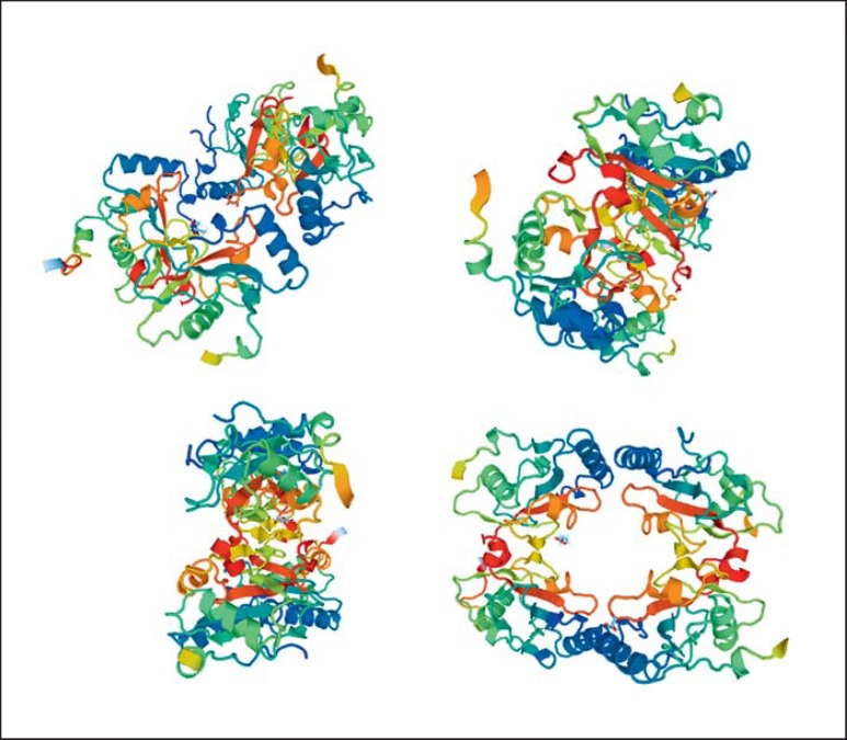 Fig. 6