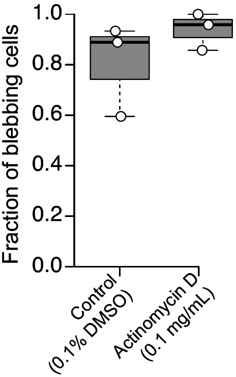 Figure 6—figure supplement 2.