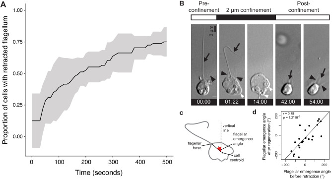 Figure 1—figure supplement 1.