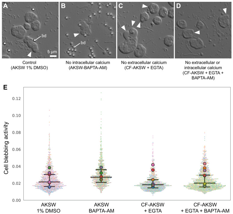 Figure 4—figure supplement 3.