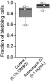 Figure 6—figure supplement 2.
