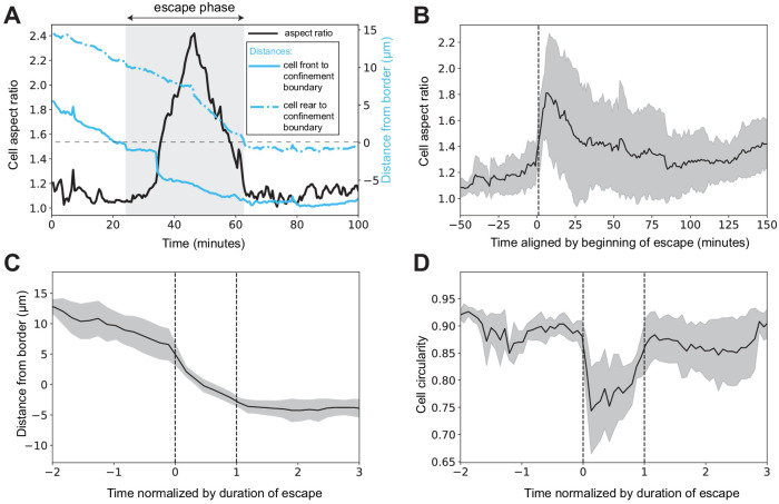 Figure 5—figure supplement 1.