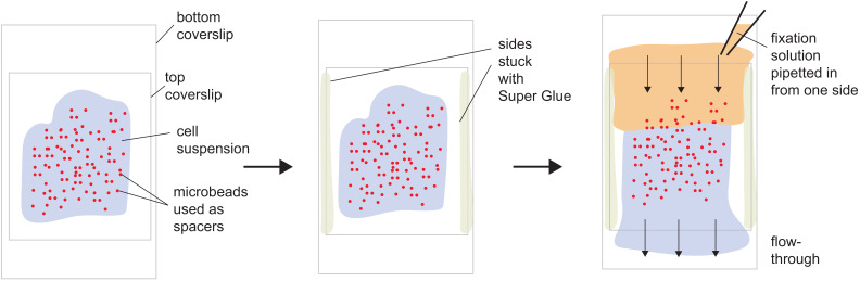 Figure 2—figure supplement 2.