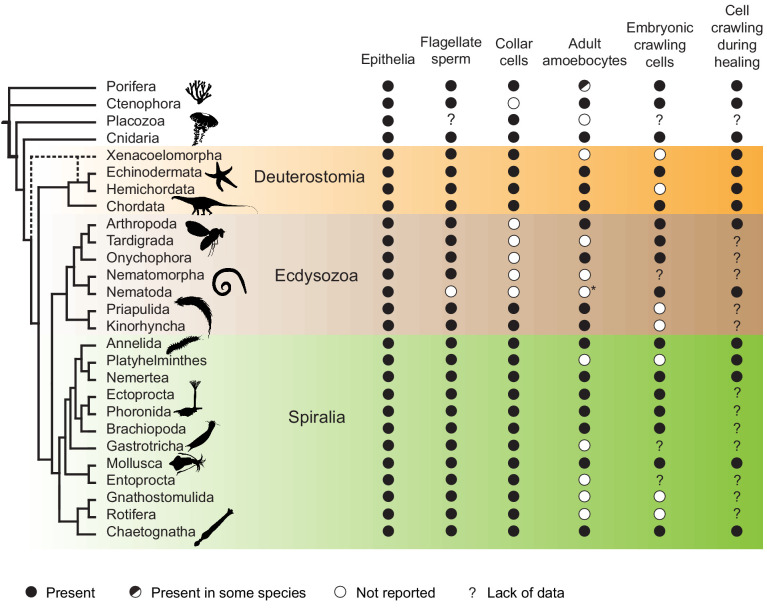 Figure 6—figure supplement 1.