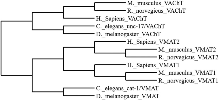 Figure 1.