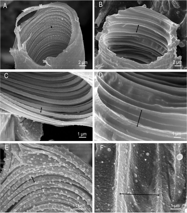 Fig. 8