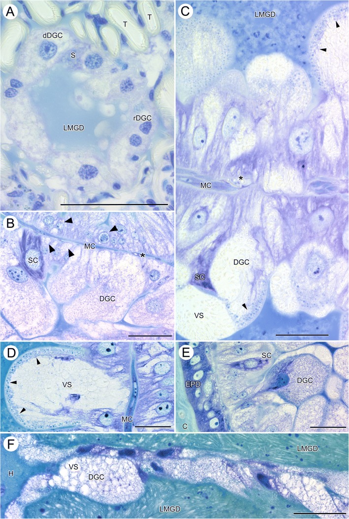 Fig. 5