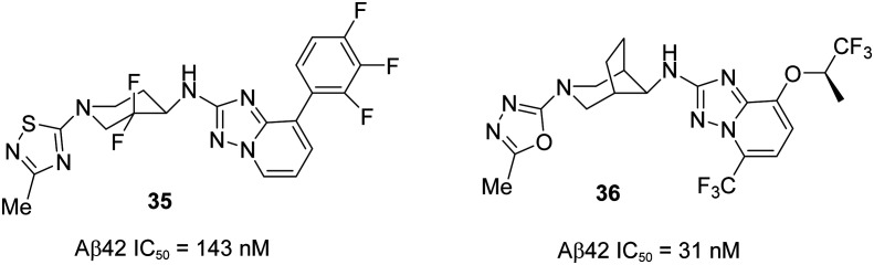 Fig. 22