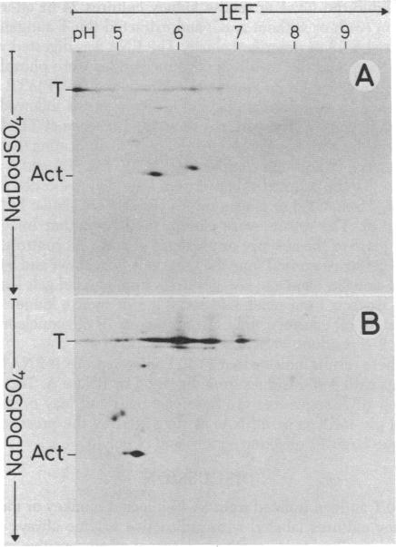 graphic file with name pnas00443-0208-a.jpg