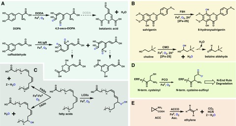 Figure 5.