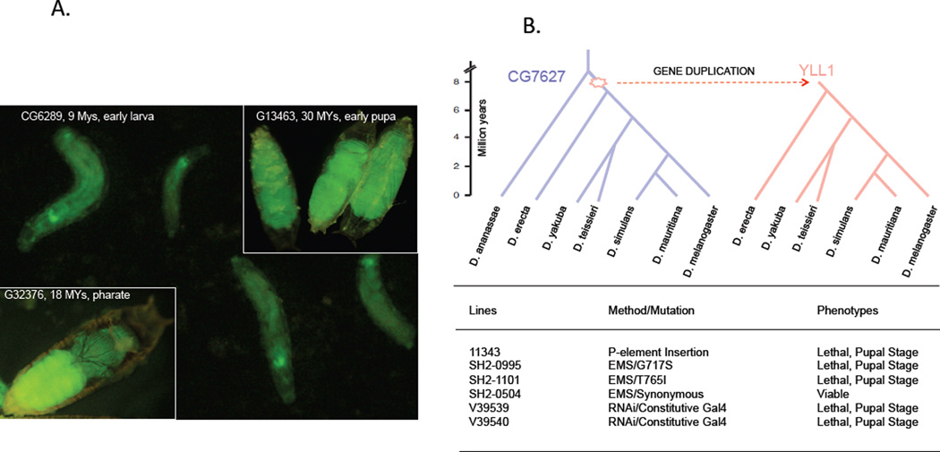 Figure 6