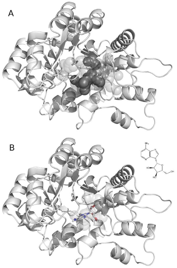 Figure 11