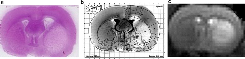 Fig. 4