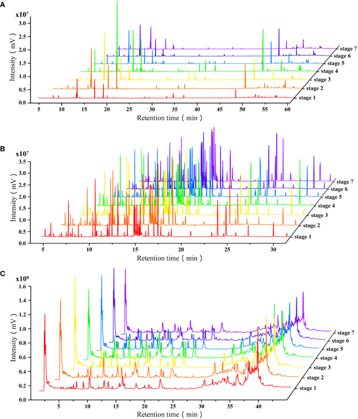 Figure 2