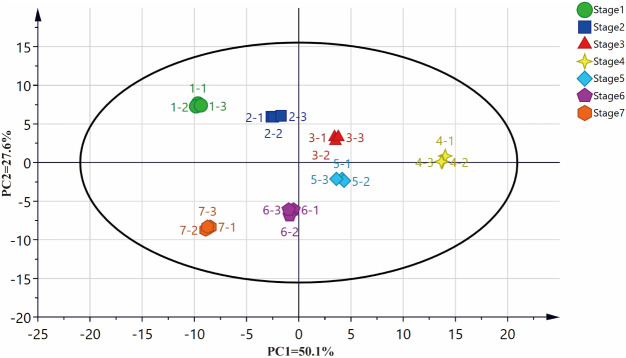 Figure 3