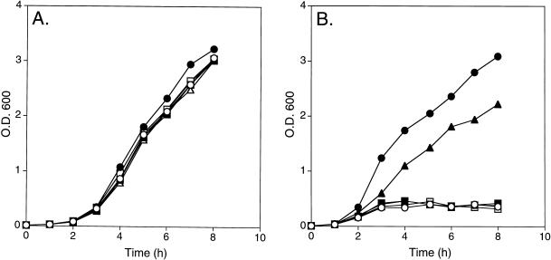 FIG. 5