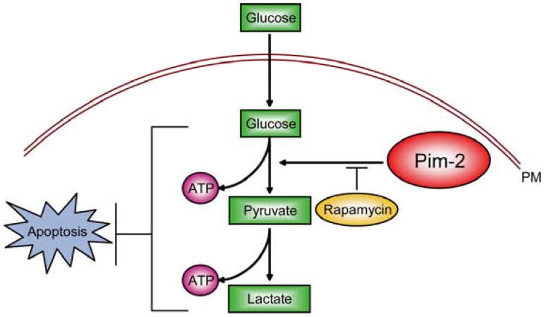 Fig 6