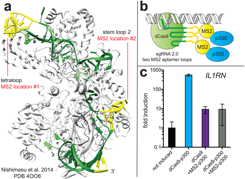 Figure 2.