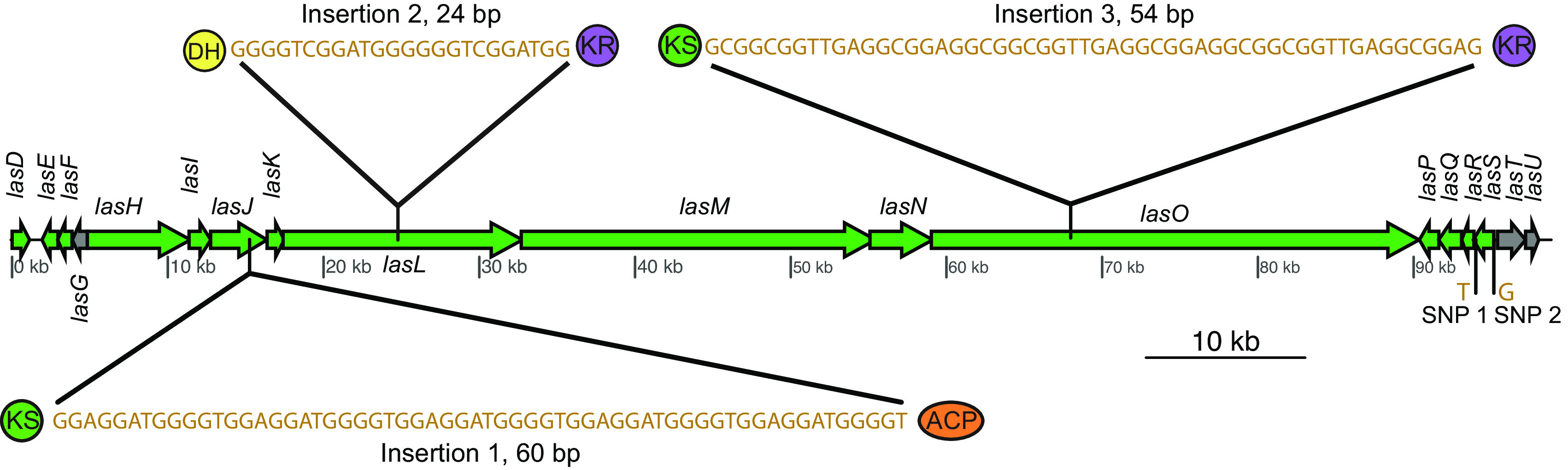 FIG 6