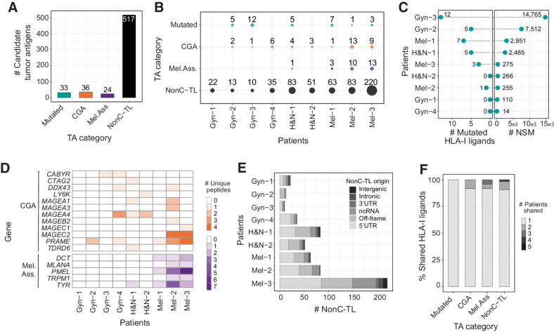 Figure 2. Candidate tumor antigens presented on HLA-I from patient-derived TCL identified through proteogenomics. A, Total number of unique peptide sequences derived from candidate tumor antigens (TA) by category. Data from all patients were pooled together. Only unique peptide sequences were considered. B, The number and category of TA are displayed for each TCL. C, The number of mutated peptides eluted from HLA-I (left) and number of NSM identified by WES (right) are displayed for each patient. D, Heat map displaying the number of epitopes derived from specific CGA or melanoma-associated antigens per patient. E, Number of nonC-TL originated from each ORF category per patient. F, Percentage of candidate TA uniquely identified in one patient or shared by TA category. The FDR threshold was set at 0.02 for mutations and 0.01 for all other categories.