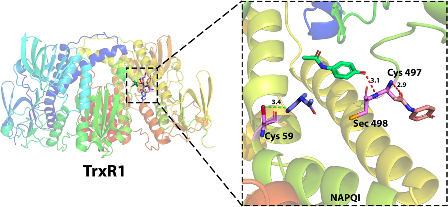 Figure 10.