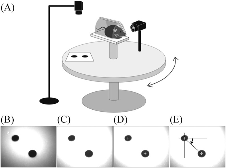 Fig 2